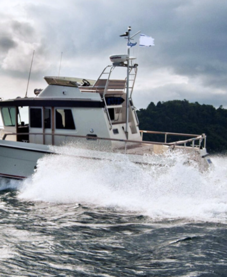 FOTIS 39